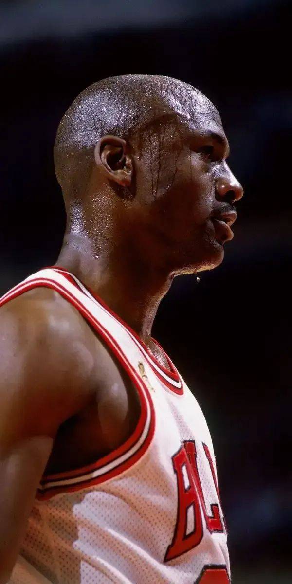 包含伟大的一年：纪念乔丹第一次退役20周年的词条