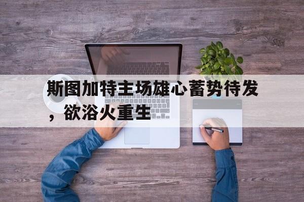 斯图加特主场雄心蓄势待发，欲浴火重生的简单介绍