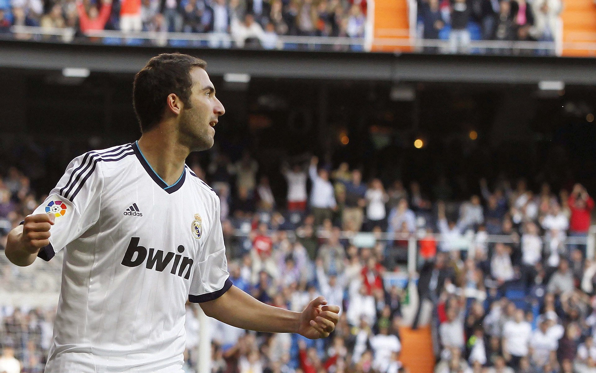 北非雄狮咆哮，阿尔及利亚沙漠战术铸就奇迹，加克波关键一剑封喉