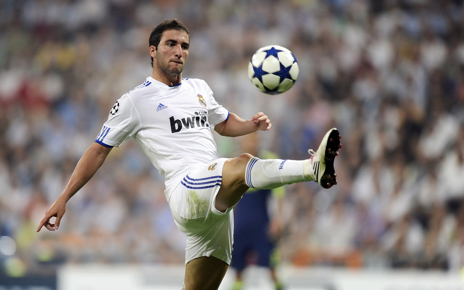 东方星辰照亮丹佛高原,张镇麟的逆袭击碎了所有傲慢的剧本